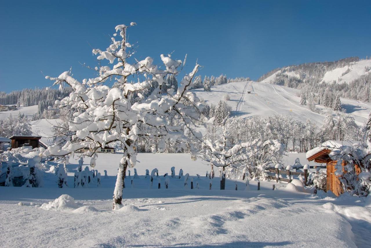 Das Glaagut - Familie Hain Hochfilzen Ngoại thất bức ảnh
